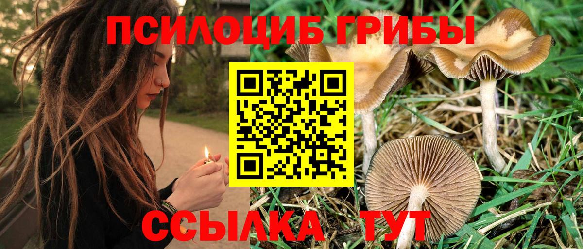 Псилоцибиновые грибы прущие грибы  Вход с VPN  Галлюциногенные грибы Cubensis  Геленджик 
